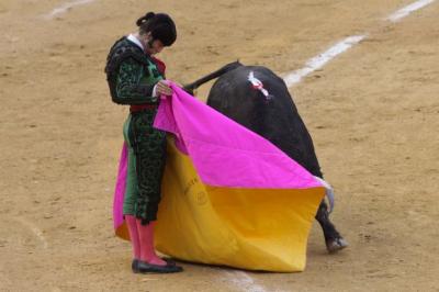 MORANTE DE LA PUEBLA SUSTITUYE A JOSÉ TOMÁS EN JEREZ